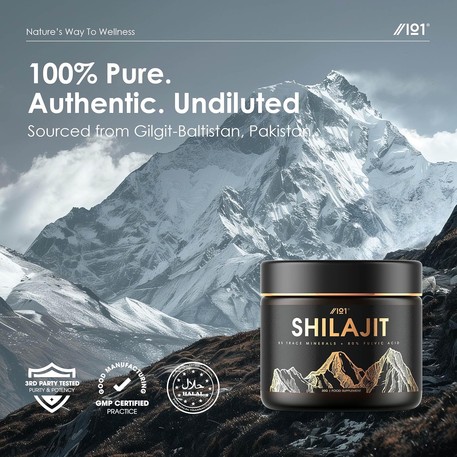 Himalayan Shilajit Resin 30G – Gold Grade 100% Pure Gilgit-Baltistan Source – Rich in 80% Fulvic & Humic Acid, Minerals – by Alpha01
