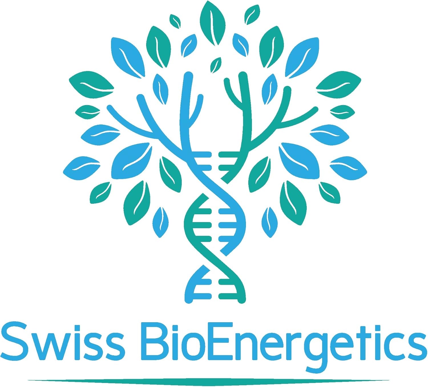 Green Lipped Mussel 500Mg 90 Capsules – Sustainably Sourced from Pure New Zealand Waters, Expertly Extracted Using CO2 – No Mixers – No Binders – No Fillers