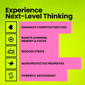 Bacopa Monnieri 500Mg | Cognitive Nootropic Supplement | 120 Vegan Capsules | 4-Month Supply | Uk-Made Supplement | Enhance Learning, Increase Focus & Improve Memory | Fitimins