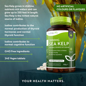Sea Kelp 2000Mg - Natural Source of Iodine - Normal Cognitive Function, Energy Yielding Metabolism, Nervous System Function, Skin and Production of Thyroid Hormones - 8 Month Supply - Nutravita