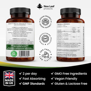 Ginkgo Biloba and Korean Ginseng Tablets - 7000Mg Ginkgo Biloba Herbal Supplements & 600Mg Panax Ginseng High Strength Extract - Enriched with Vitamin B3 & B5-120 Vegan Tablets