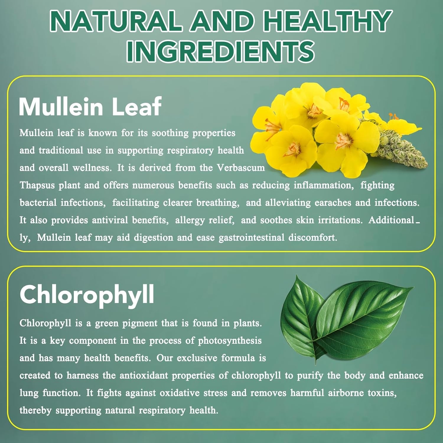 Mullein Leaf Extract for Lungs,60Ml Premium Mullein Leaf Extract Drops Balance Mullein Drops for Lungs,Vegan Premium Mullein Leaf Extract Fast Absorption