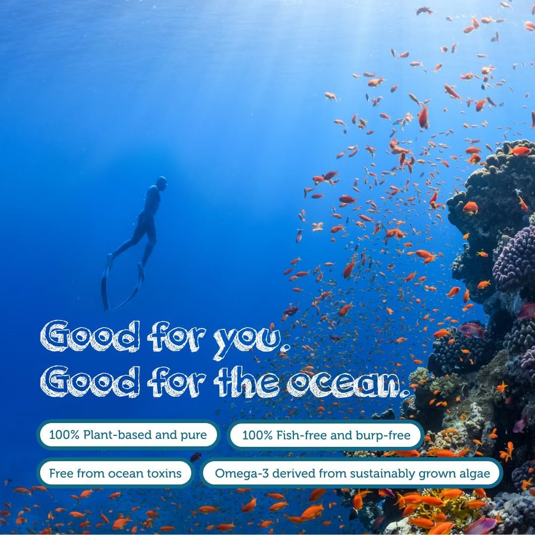 Vegan Omega 3 Supplement - High Strength 325Mg DHA + 150Mg EPA per Capsule - 1 Capsule a Day - Supports Heart, Brain, Joint Health - Plant-Based Omega 3 from Algae Oil - 2 Months Supply