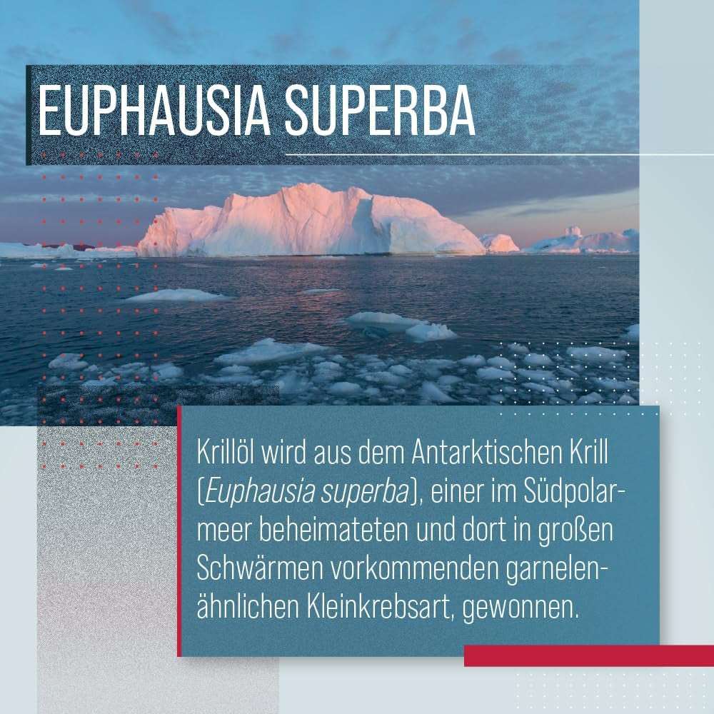 Sanct Bernhard Krillöl Capsules, 60 Capsules, 45 G