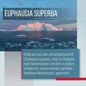 Sanct Bernhard Krillöl Capsules, 60 Capsules, 45 G